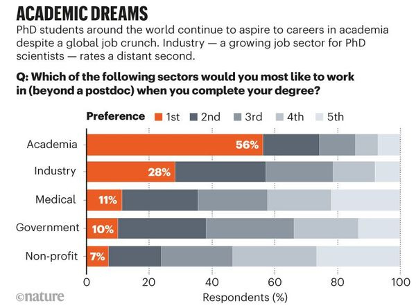 PhDs: The tortuous truth