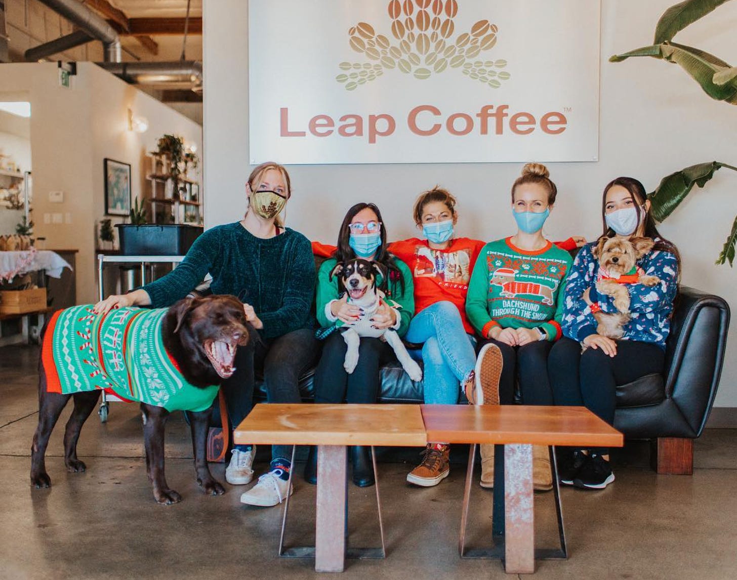 Five women sit on a black leather couch wearing protective facemasks, ugly sweaters and a Leap Coffee sign is above them on the wall. Three dogs are also in the picture. A big, yawning brown lab to the left and two small lap dogs on the couch. The dogs also have ugly sweaters on!