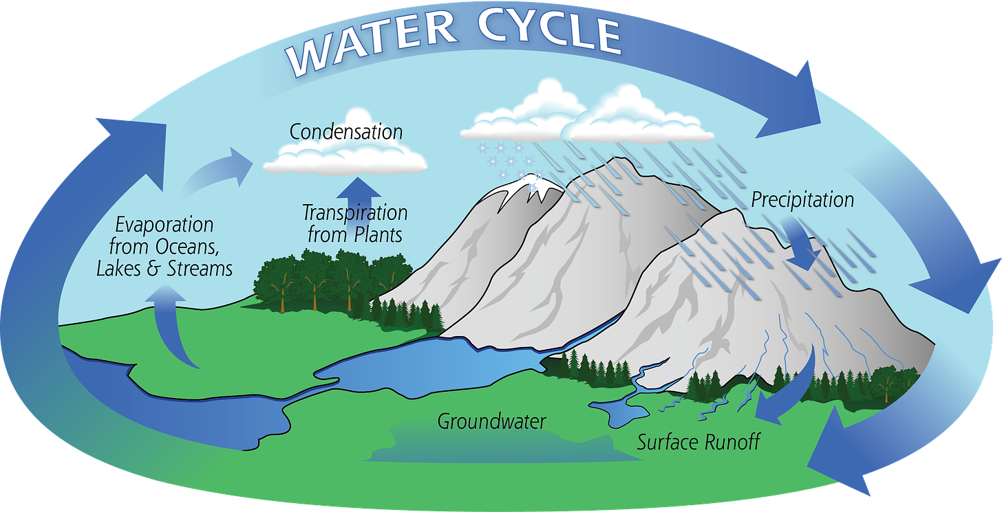 The Water Cycle | Precipitation Education