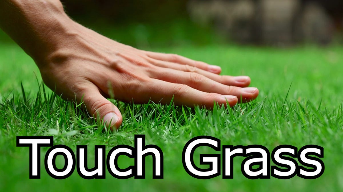 What Does 'Touch Grass' Mean? The Slang Term Explained | Know Your Meme