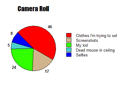 A pie chart labeled "Camera Roll" with sections labeled "Clothes I'm Trying to sell," "Screenshots" "my kid" "dead mouse in ceiling" and "selfies"