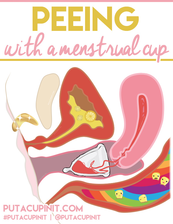 Image result for menstrual cup diagram
