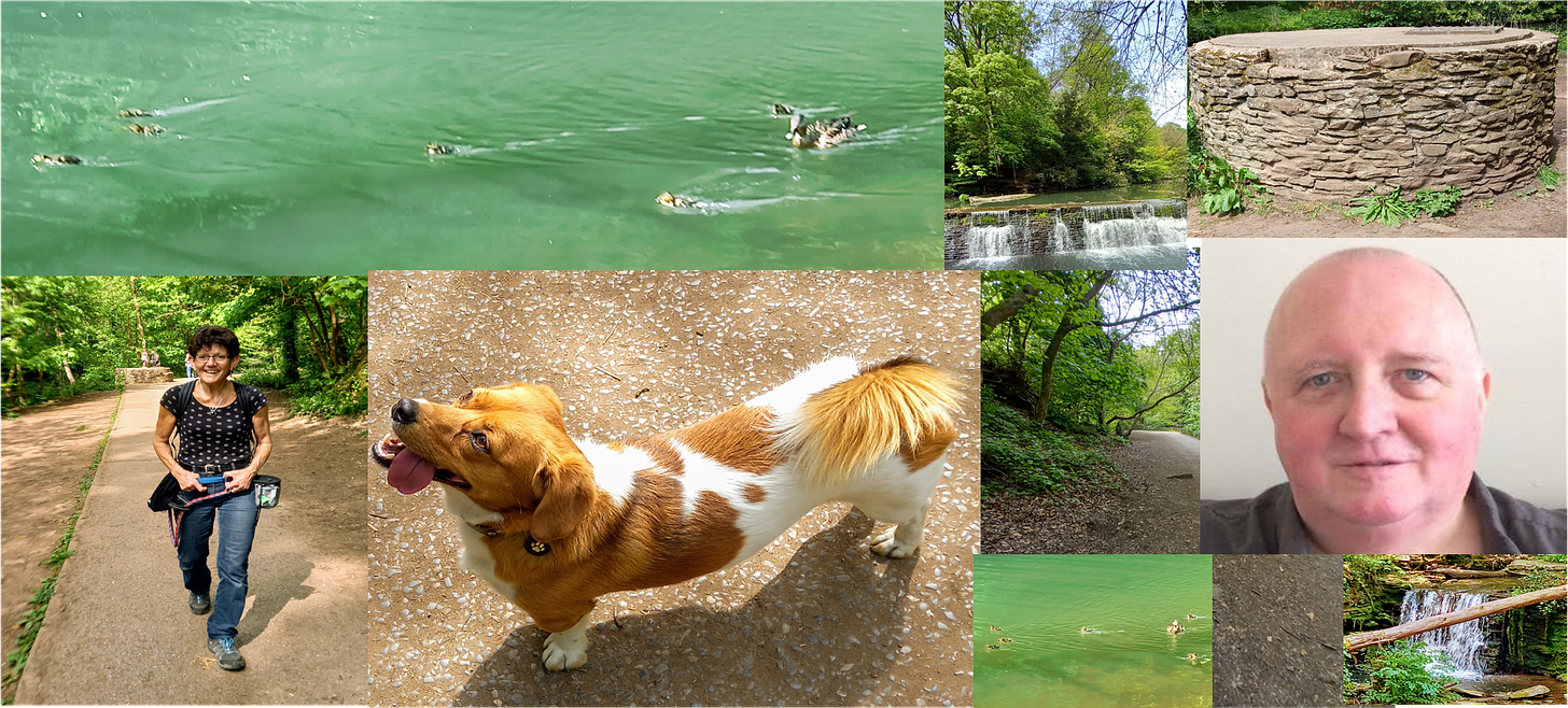 Image of 3 people, a dog, ducks swimming and some waterfalls arranged as a collage to illustrate post