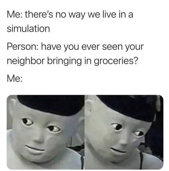 Me: there's no way we live in a simulation / Person: have you ever seen your neighbor bringing in groceries?