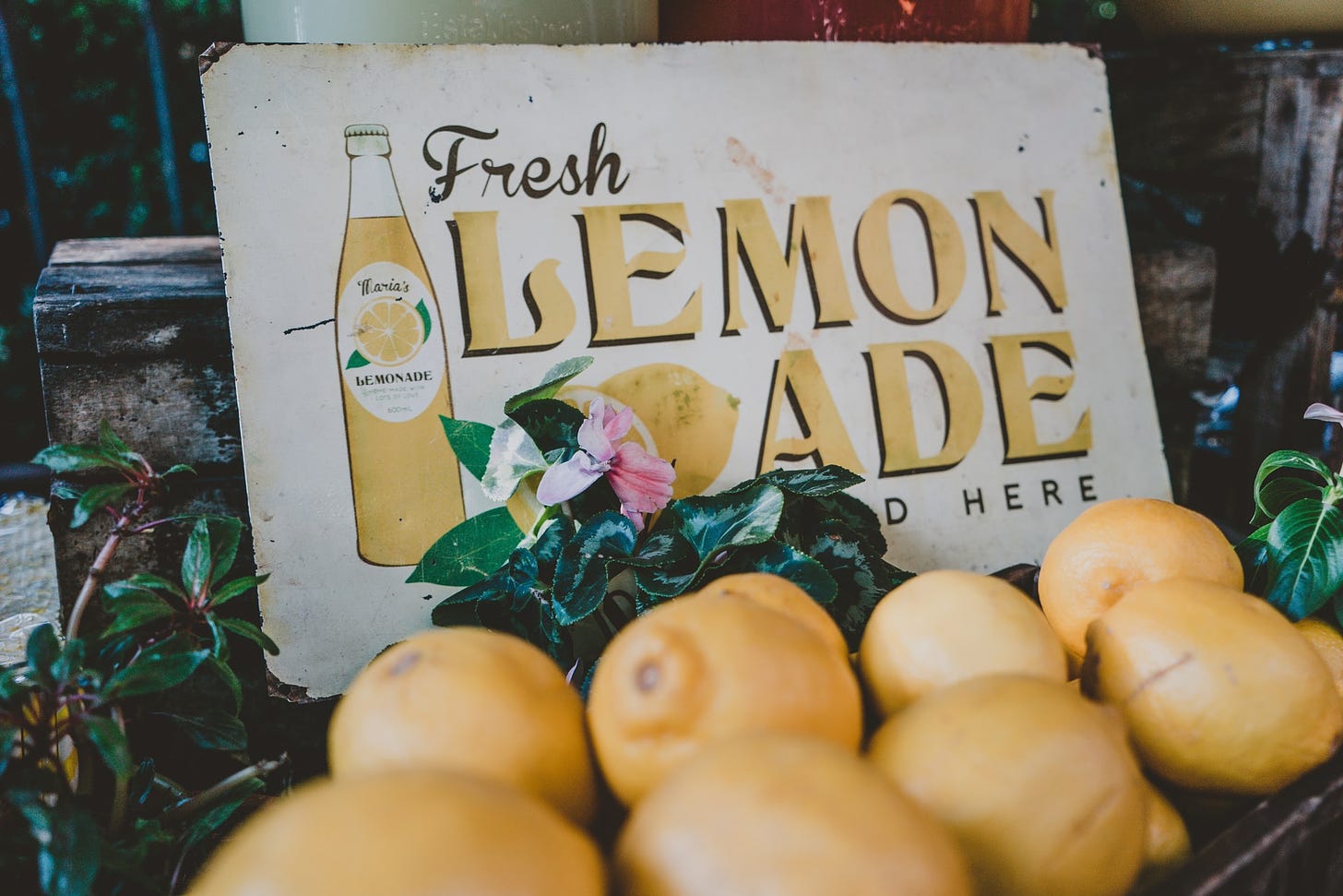 Banca de limões amarelos com um cartaz escrito “Fresh Lemonade”.