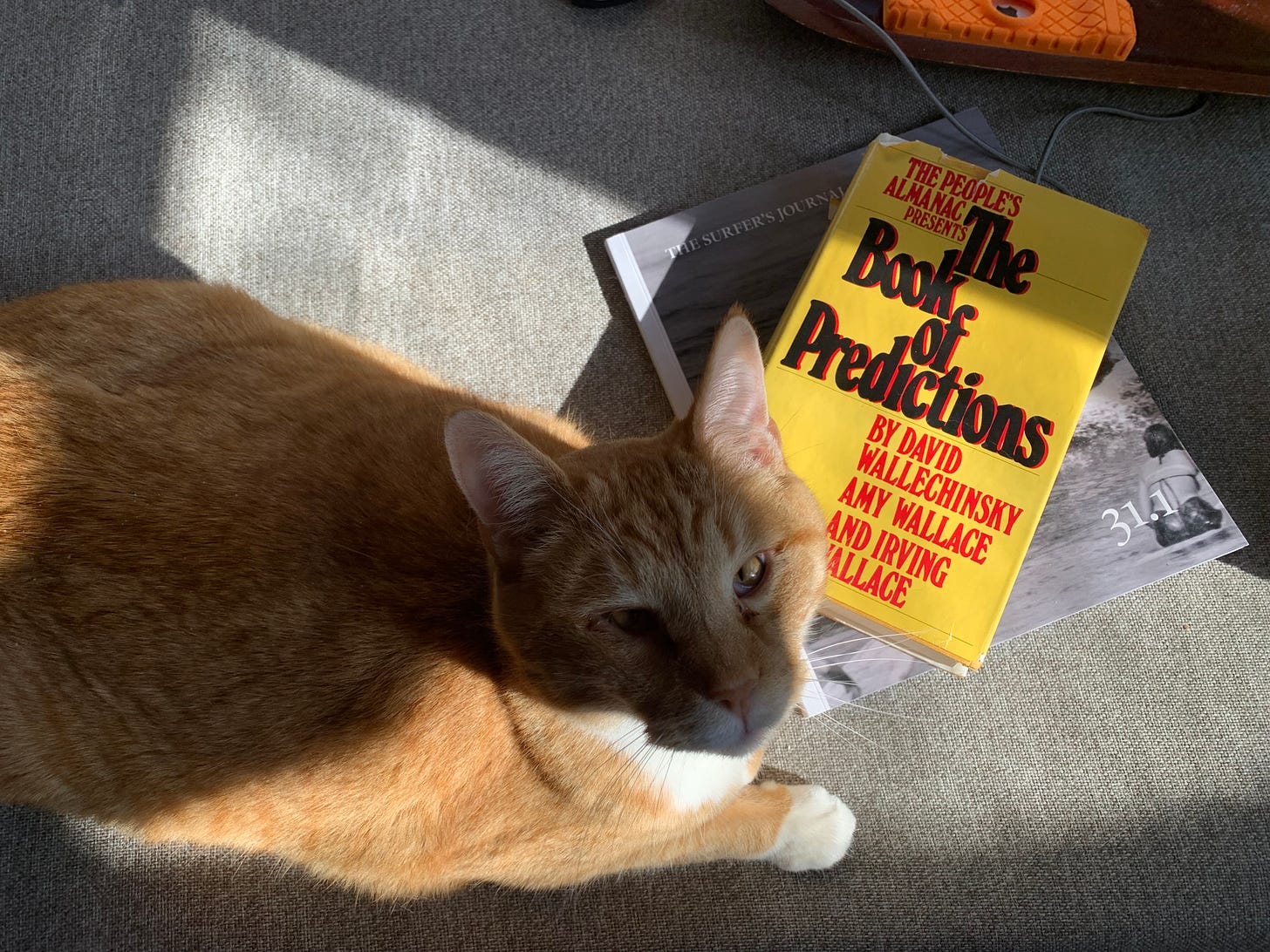 An orange cat laying next to a book called "the Book of Predictions"