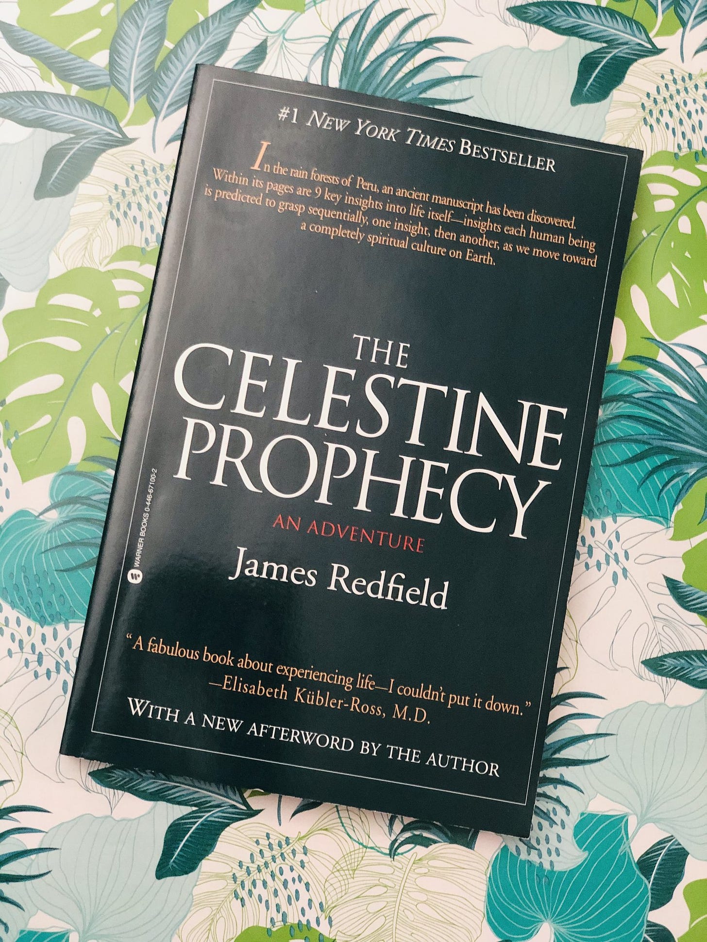 The Celestine Prophecy by James Redfield – Royal Readers Bookstore
