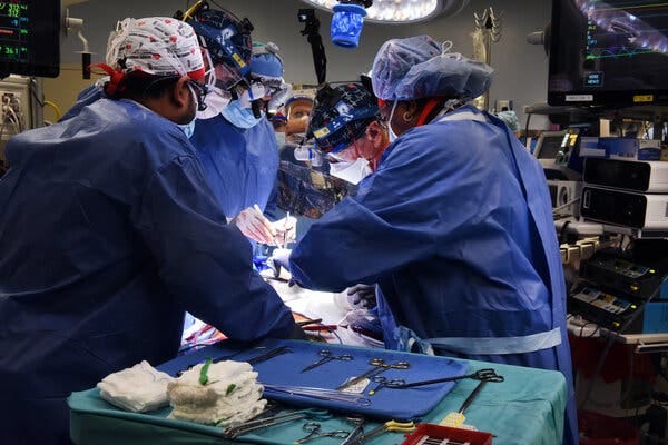 Surgeons performed an eight-hour transplant of a genetically modified pig’s heart at the University of Maryland School of Medicine on Friday.