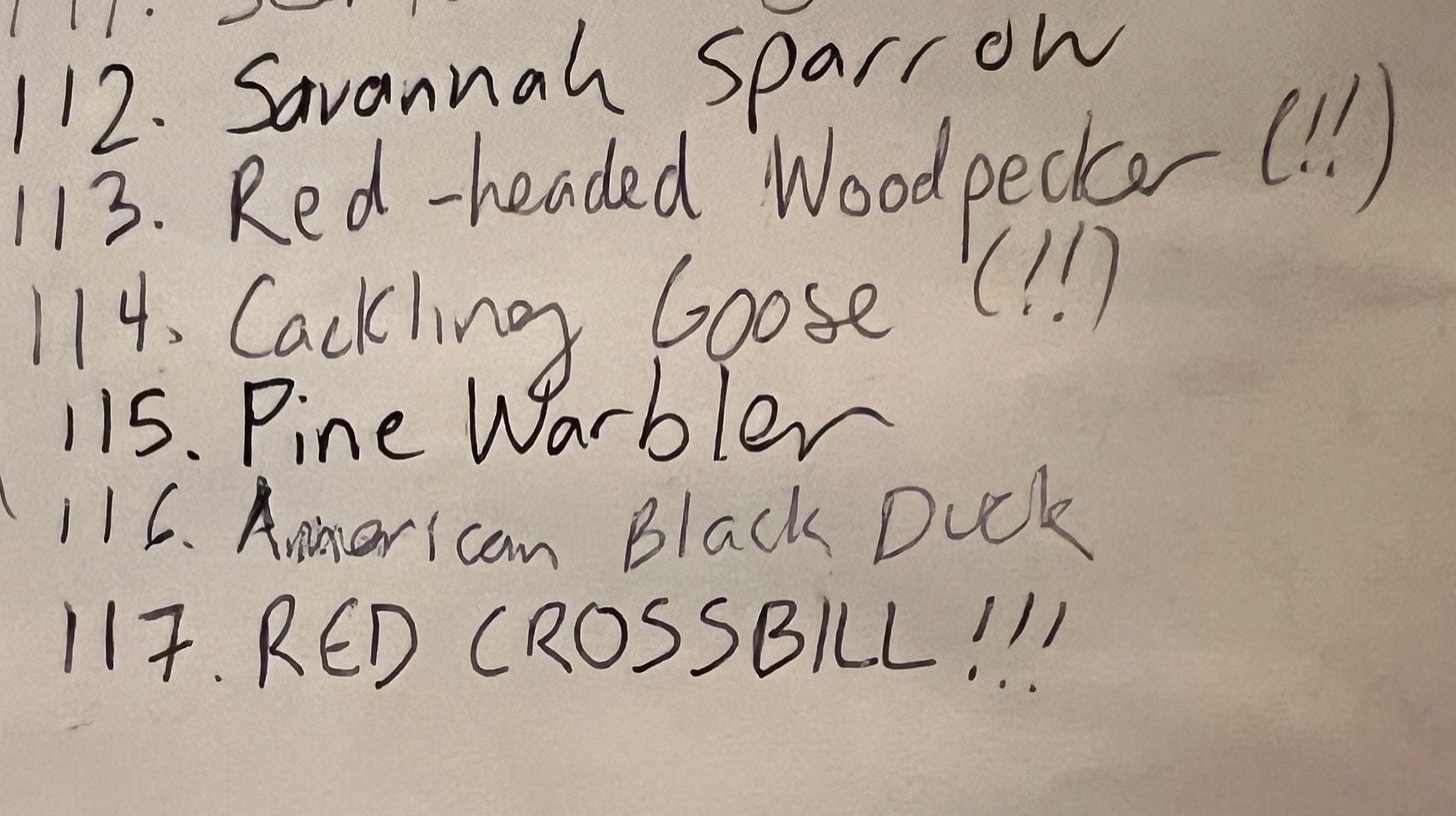 a list of the birds from my house, handwrittein on a sheet of paper. it reads "112. savannah sparrow. 113. red-headed woodpecker(!!) 114. cackling goose (!!) 115. Pine Warbler 116. American Black Duck 117. RED CROSSBILL!!!"