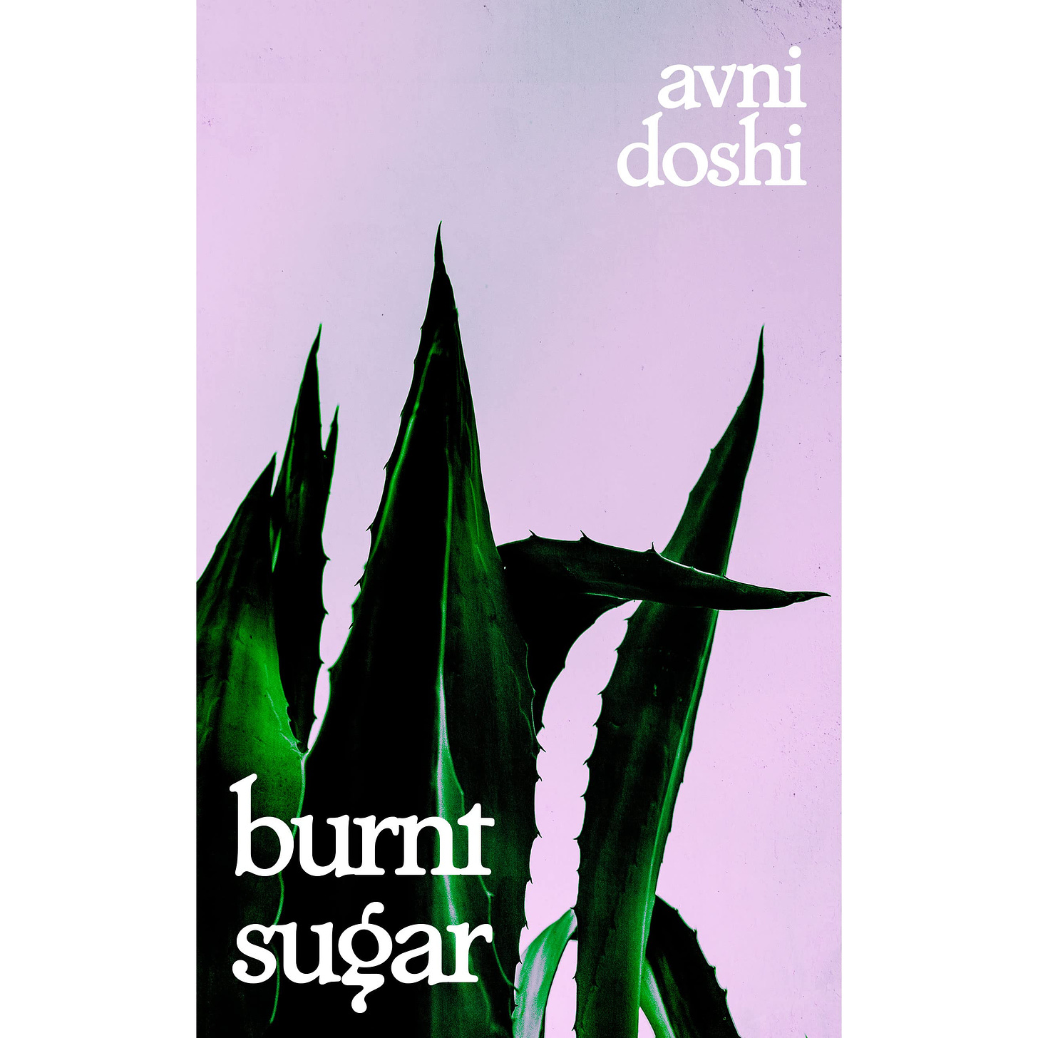 Burnt Sugar by Avni Doshi