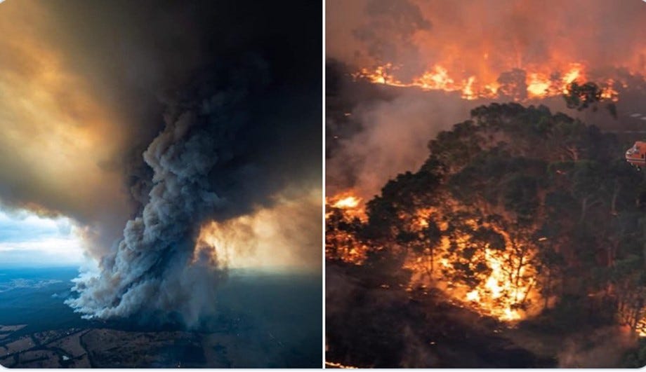 Image result for australia bush fires carbon emissions