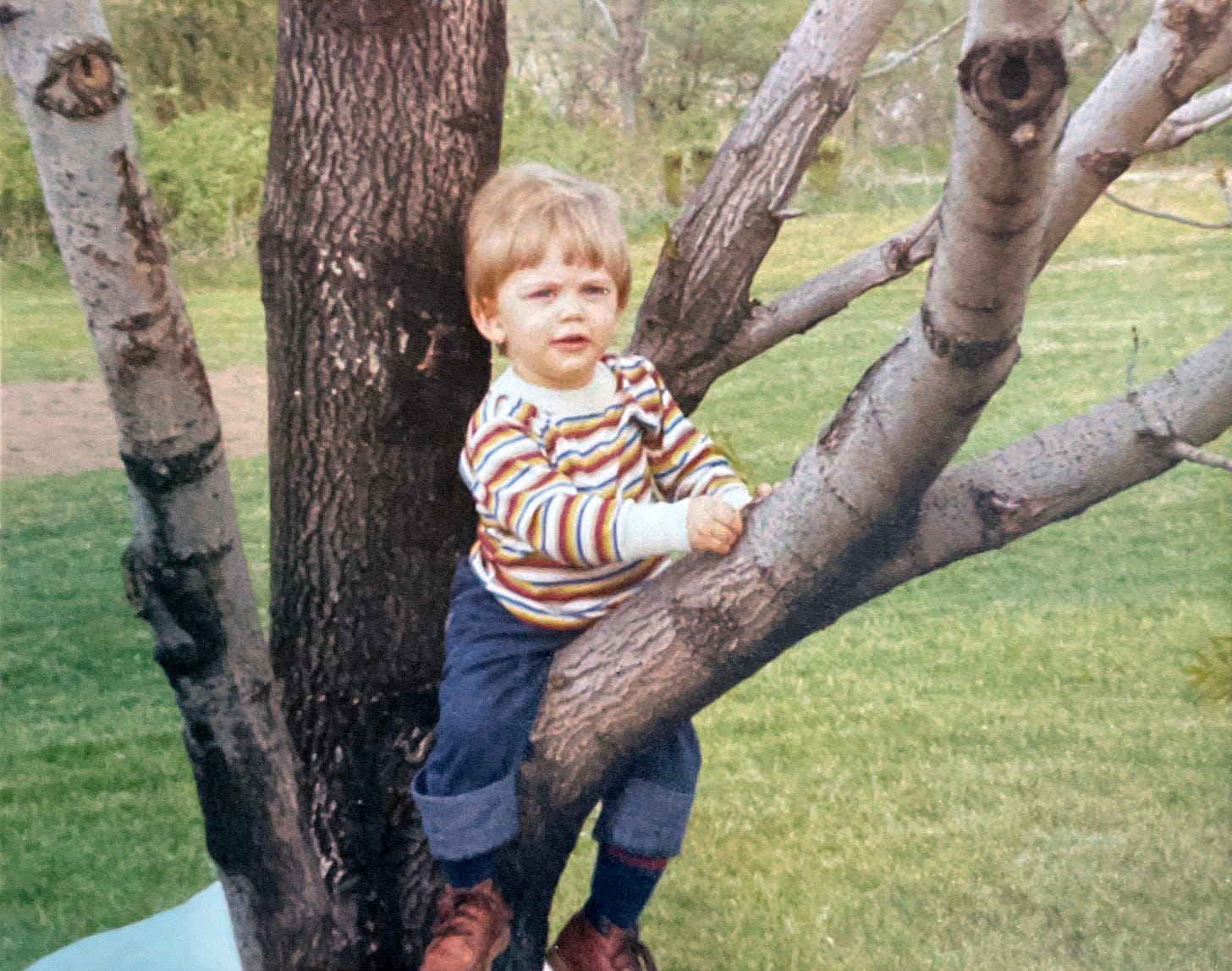 A photograph of a small child straddling a branch.