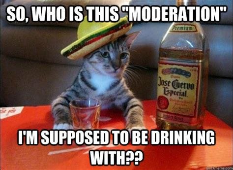 Drinking in moderation Memes
