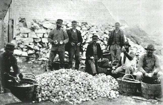 Egg collectors on the Farallones Islands