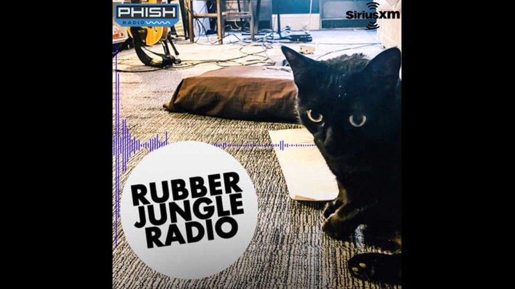 Trey anastasio rubber jungle radio 1480x832