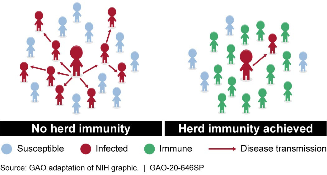 U.S. GAO - Science & Tech Spotlight: Herd Immunity For COVID-19