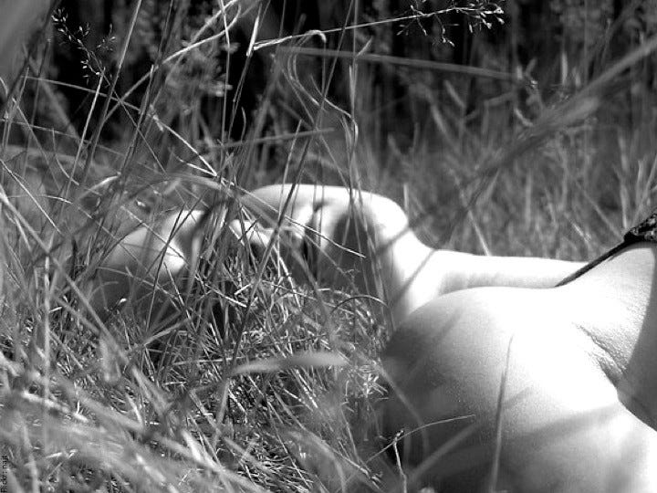 Close up of woman lying, eyes closed in warm grass