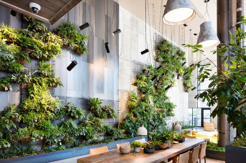 3 Vertical Garden Ideas - A Lovely Plant Wall in The Living Room