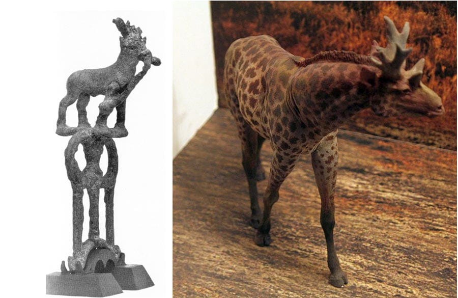 The so-called Sivatherium of Kish (Field Museum of Natural History/Edwin H. Colbert) compared to a modern representation of a Sivatherium in the Warsaw Museum of Evolution. (Shalom/CC BY-SA 3.0)