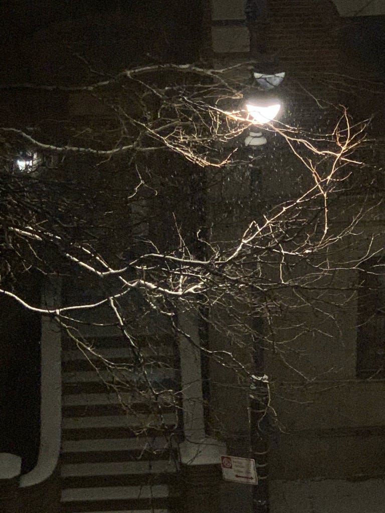 Image is snow falling past a streetlamp outside my apartment, with snow-covered tree branches in the foreground and a snow-covered set of brownstone steps in the background.