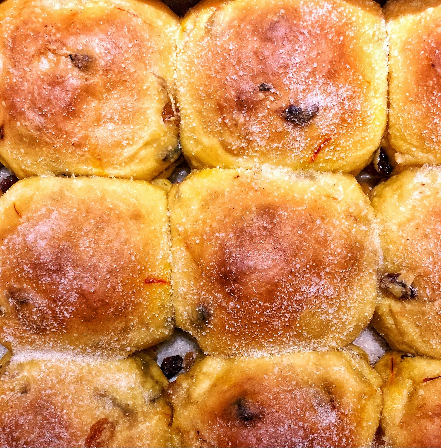 Yellow-tinted buns with dark raisins and saffron threads interspersed and a coating of granulated sugar.