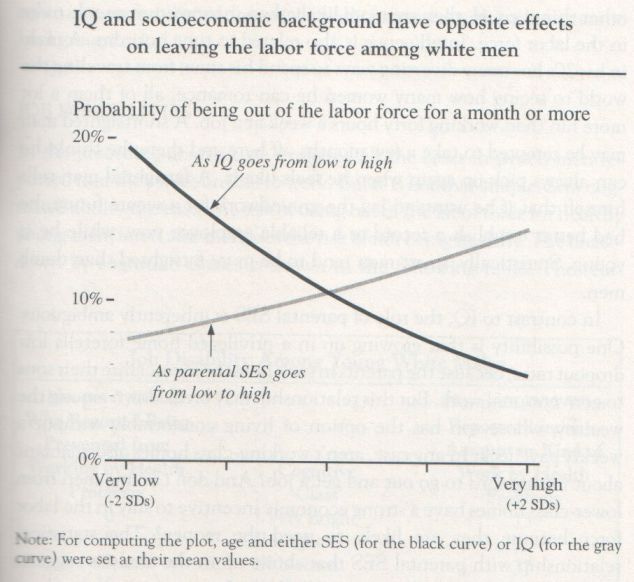 the-bell-curve-1994-herrnstein-and-murray-graph-p-159