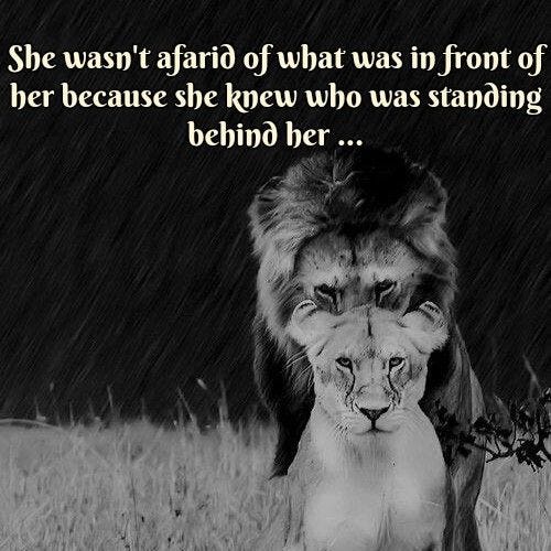8 Signs of a Man Who Will Never Ever Stop Loving You | Lion quotes ...