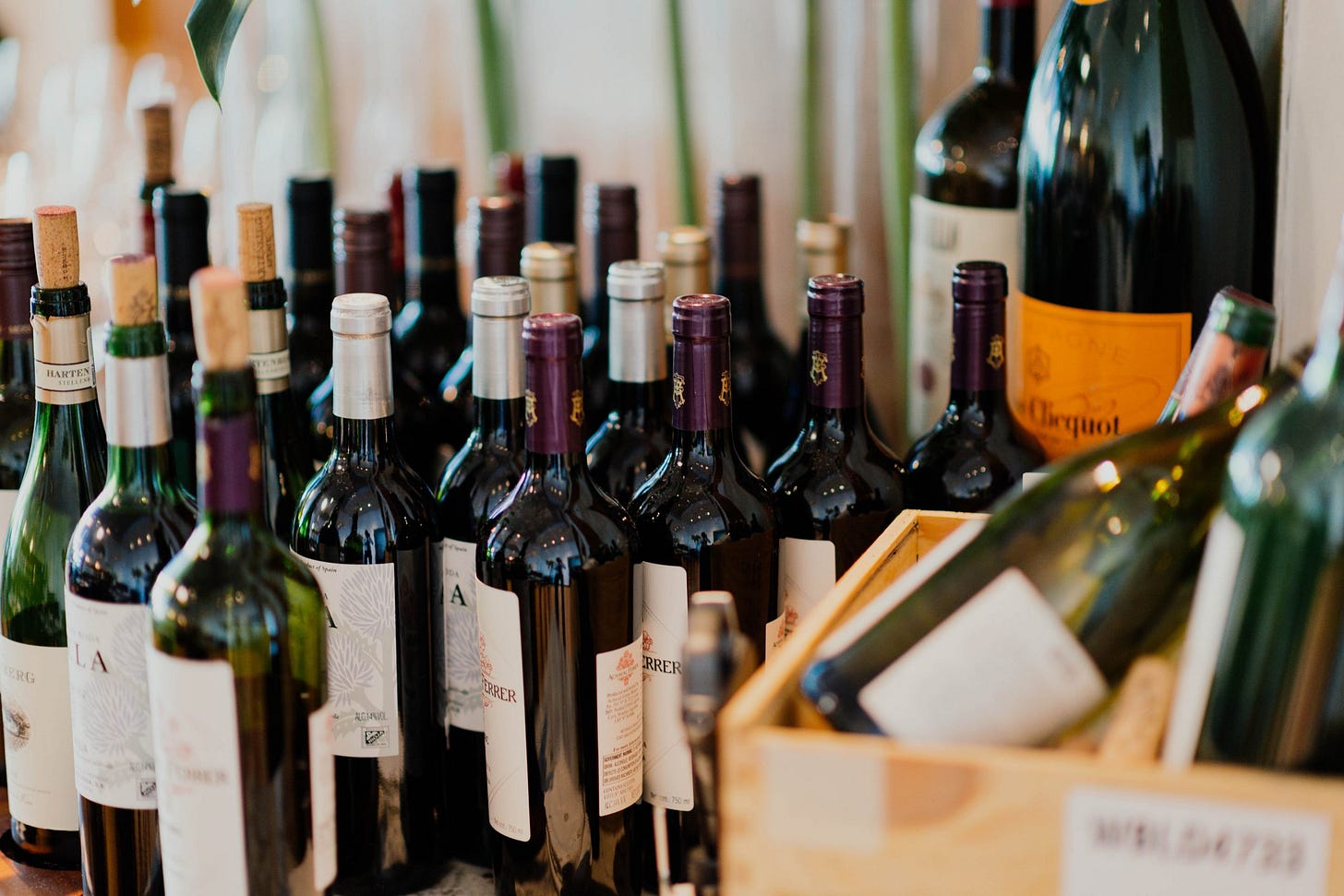 holiday wine