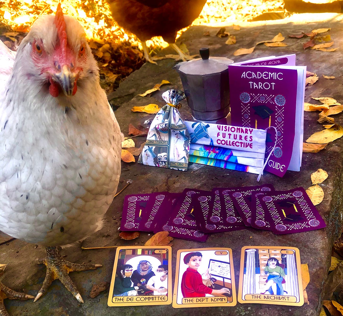 A white chicken stares into the camera next an array of VFC swag, including a VFC covid mask, a printed tarot deck, and a booklet. 