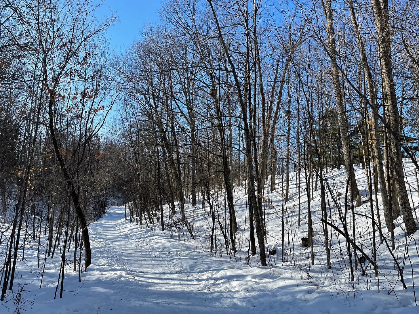 Winter in Ottawa