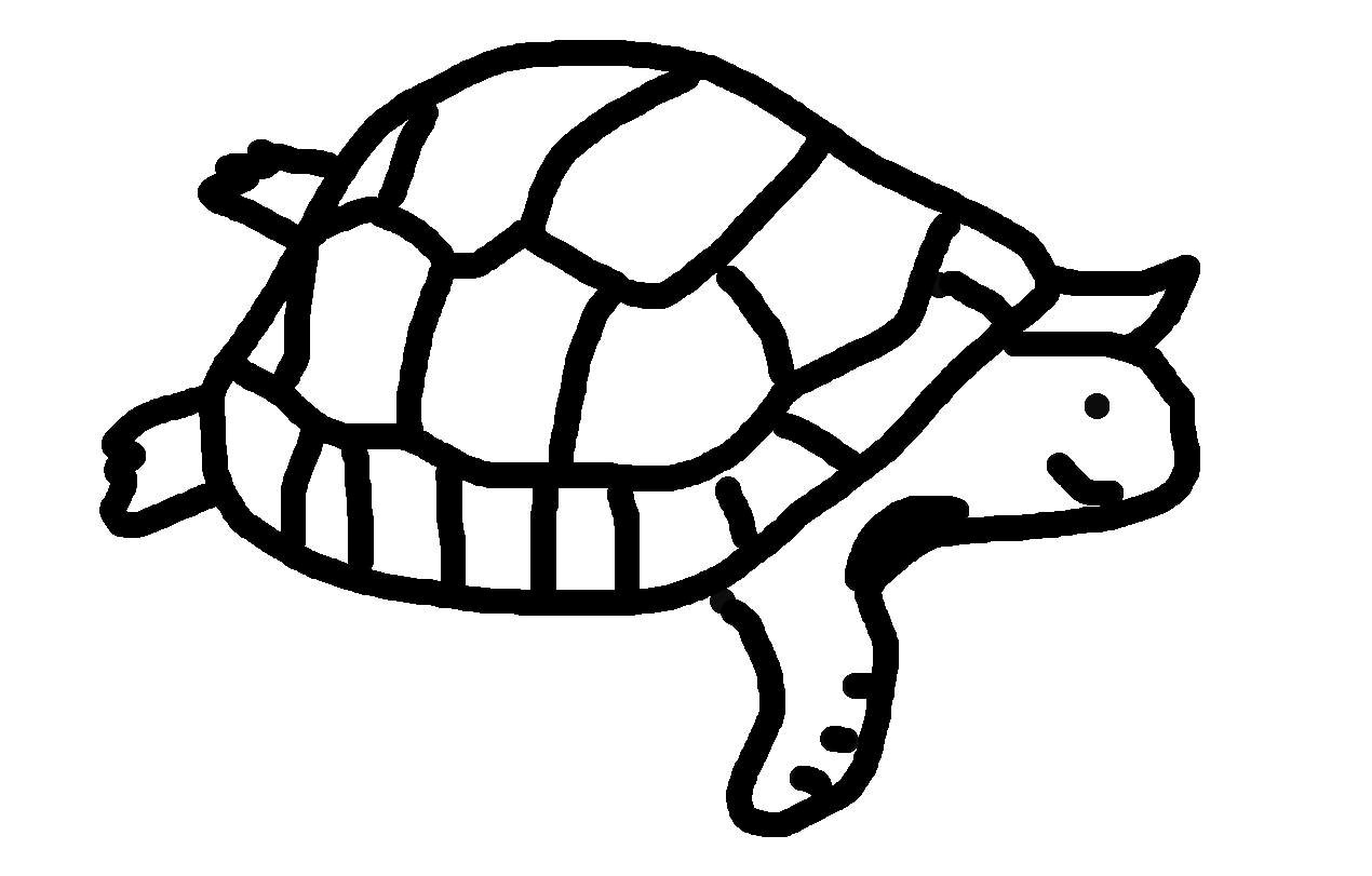 Turtle