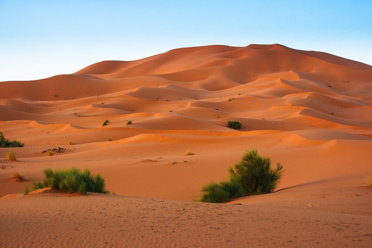 Image result for western sahara