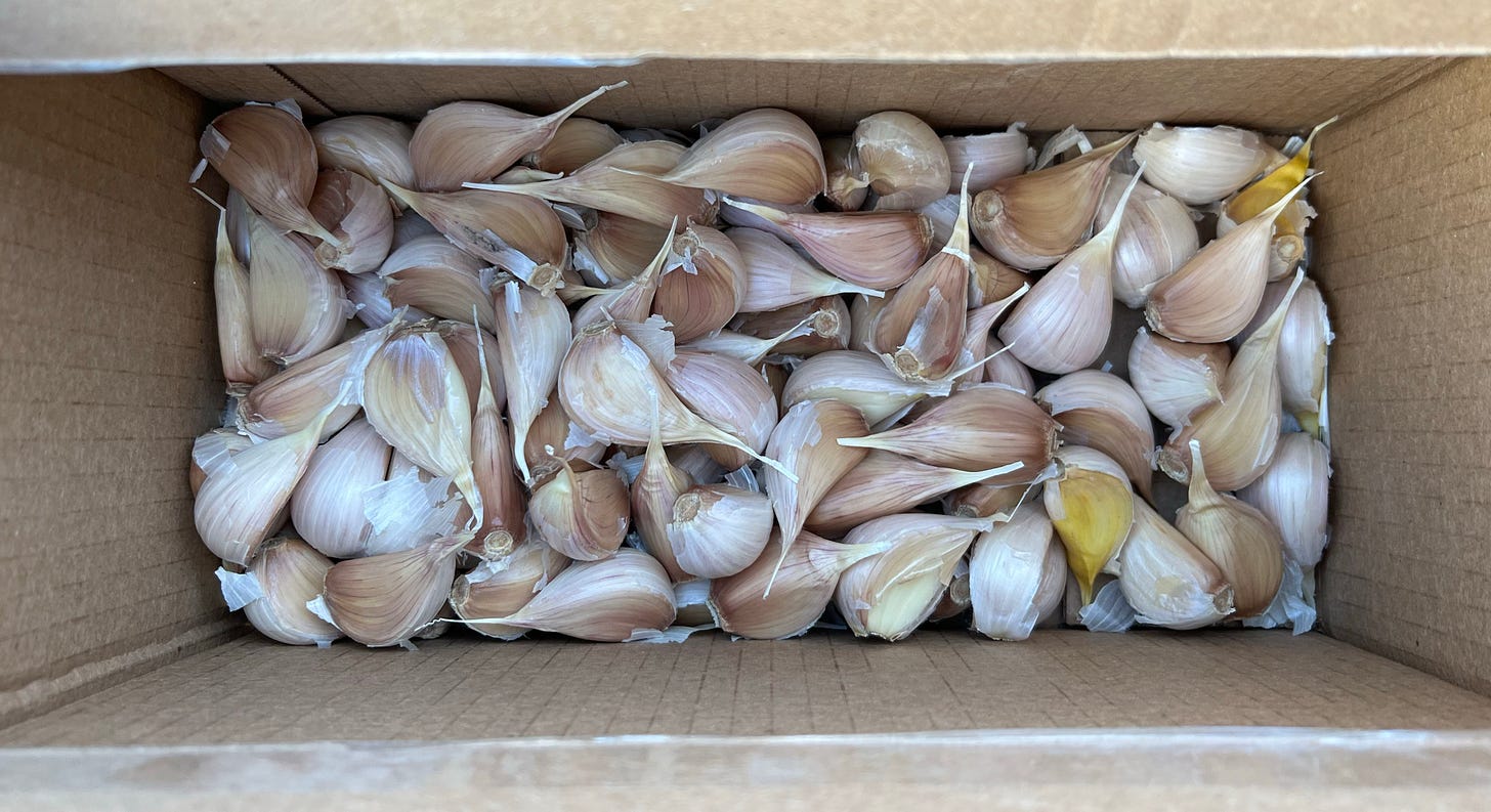 A box of garlic cloves