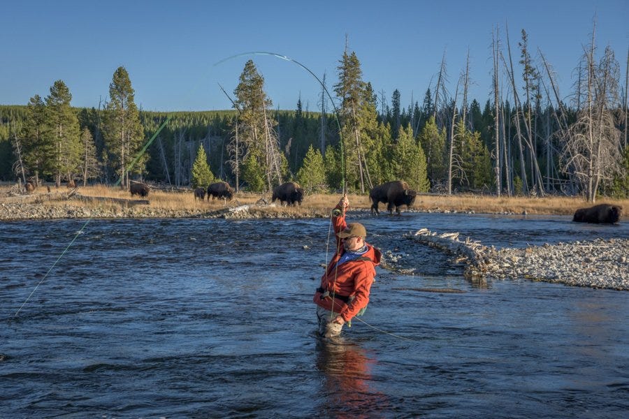 Fishing Yellowstone Park in October | Montana Angler