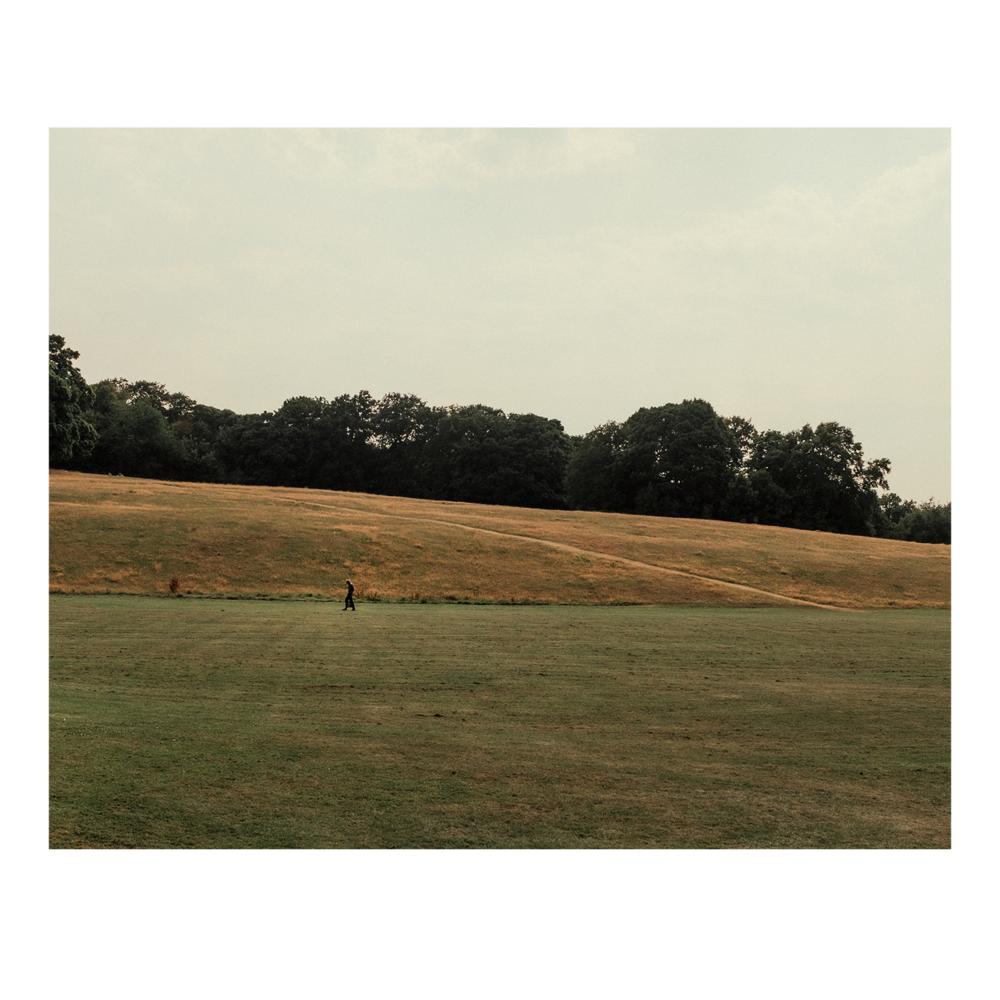 Man walking down a hill in Norfolk heritage Park.png