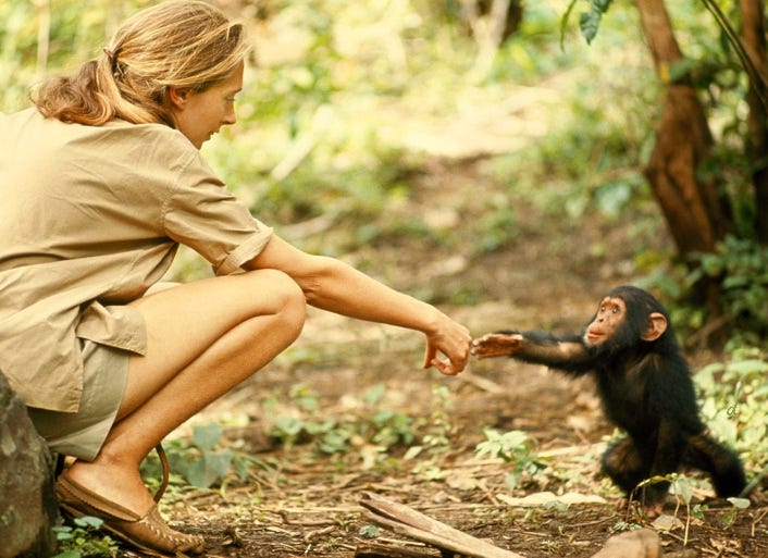 https://www.nationalgeographic.org/article/jane-goodall/