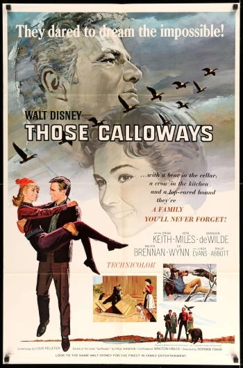 Theatrical release poster for Those Calloways