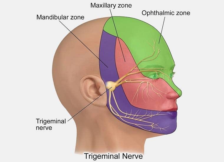 Trigeminal Neuralgia (TN) - Harley Street Maxillofacial Clinic