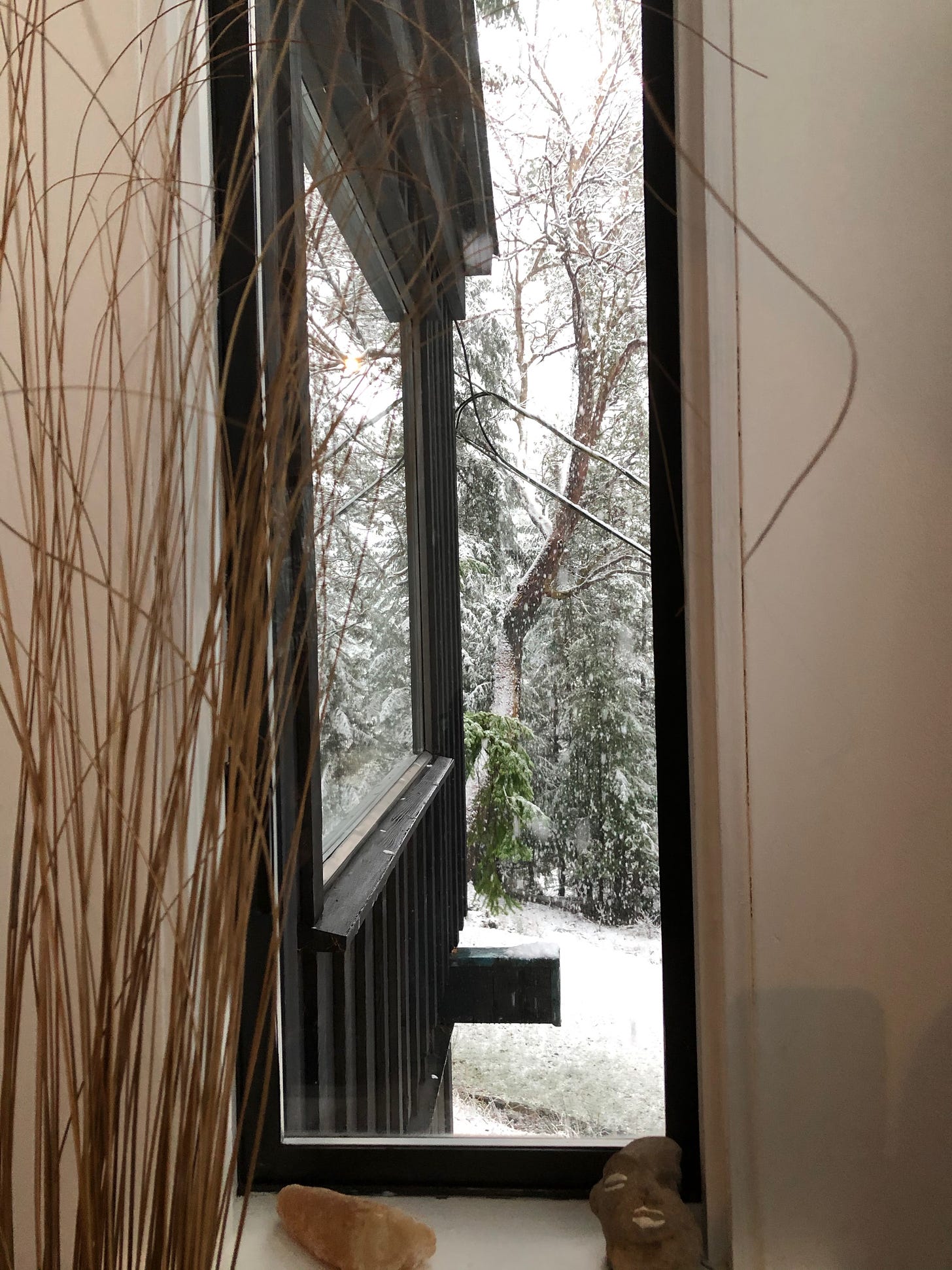 View from indoors toward the snowy trees