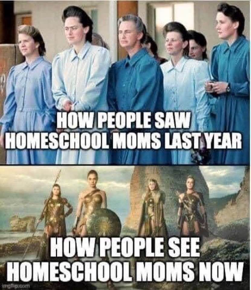 Home school moms... | Homeschool humor, Homeschool memes, Funny quotes for  teens
