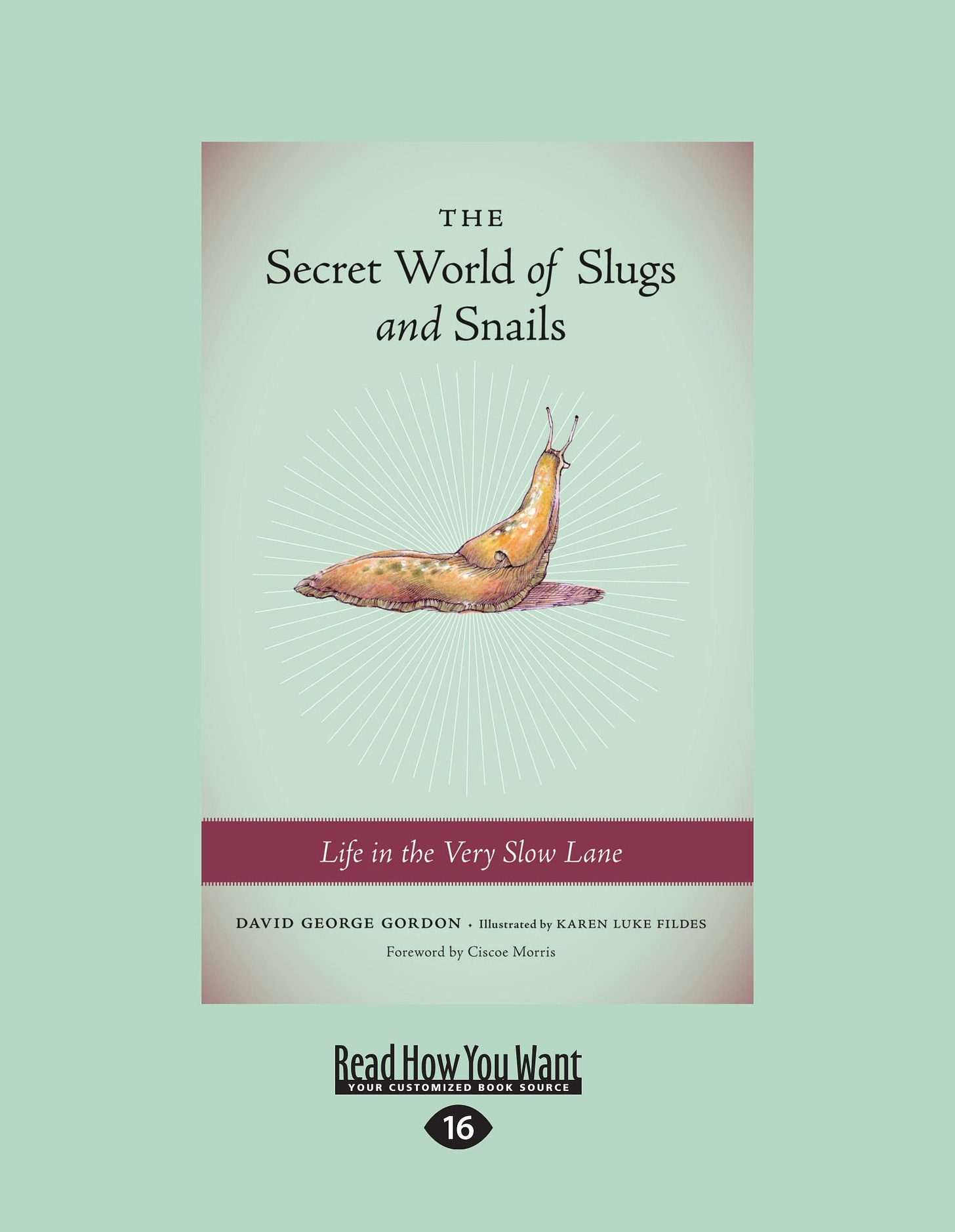 The Secret World of Slugs and Snails: Life in the Very Slow Lane (Large  Print 16pt): George Gordon, David: 9781458756022: Amazon.com: Books