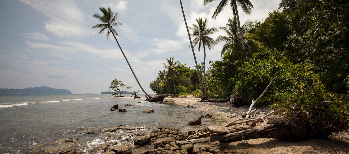 Coastal erosion on the Solomon Islands (photo: Alex DeCiccio) The Planet newsletter climate and security in UNSC