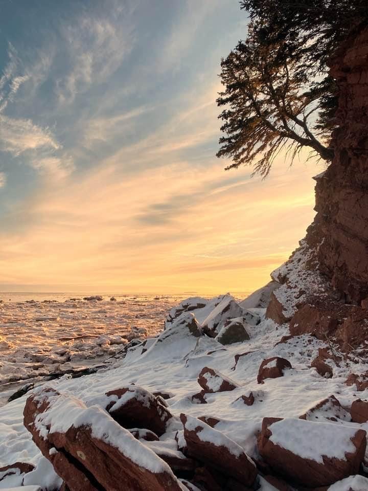 pic of sunrise, snow covered stone, a leaning tree