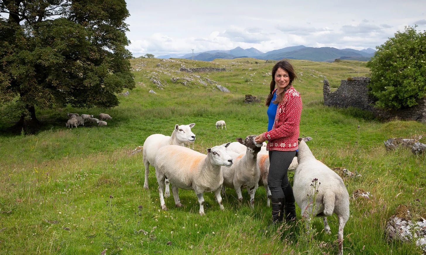 Tamsin Calidas standing in a green field with a few sheep around her, ruinous buildings and mountains in the background.
