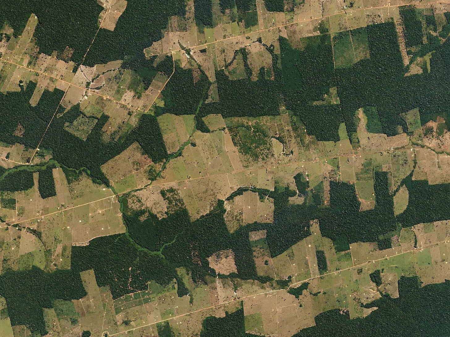 Farms and pastureland carve their way into tropical forestland in the Western Brazilian State of Rondônia.