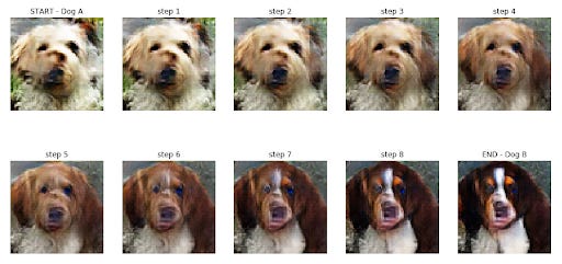 Generative Dog Images | Kaggle