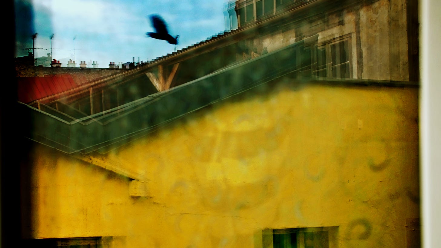 Inverted v-shaped black-coloured roof of yellow-painted building, bird with wings outstretched in mid-flight, red-tiled roof, brown-tiled taller building, and cloudy blue sky in the background