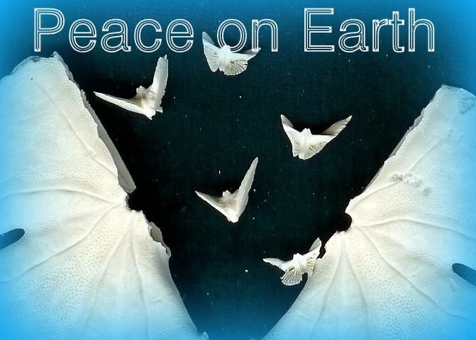 May be an image of text that says 'Peace on Earth'