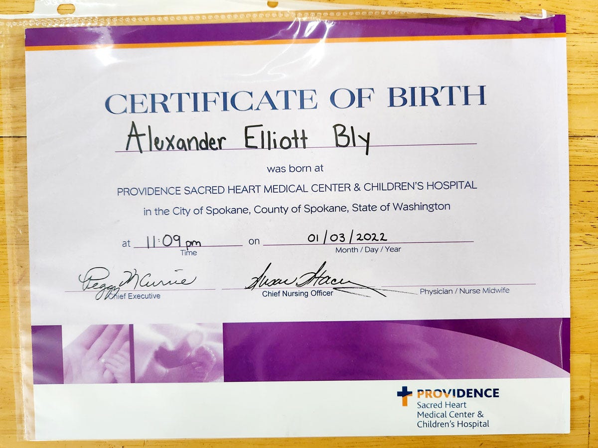 Baby Alex Birth Certificate