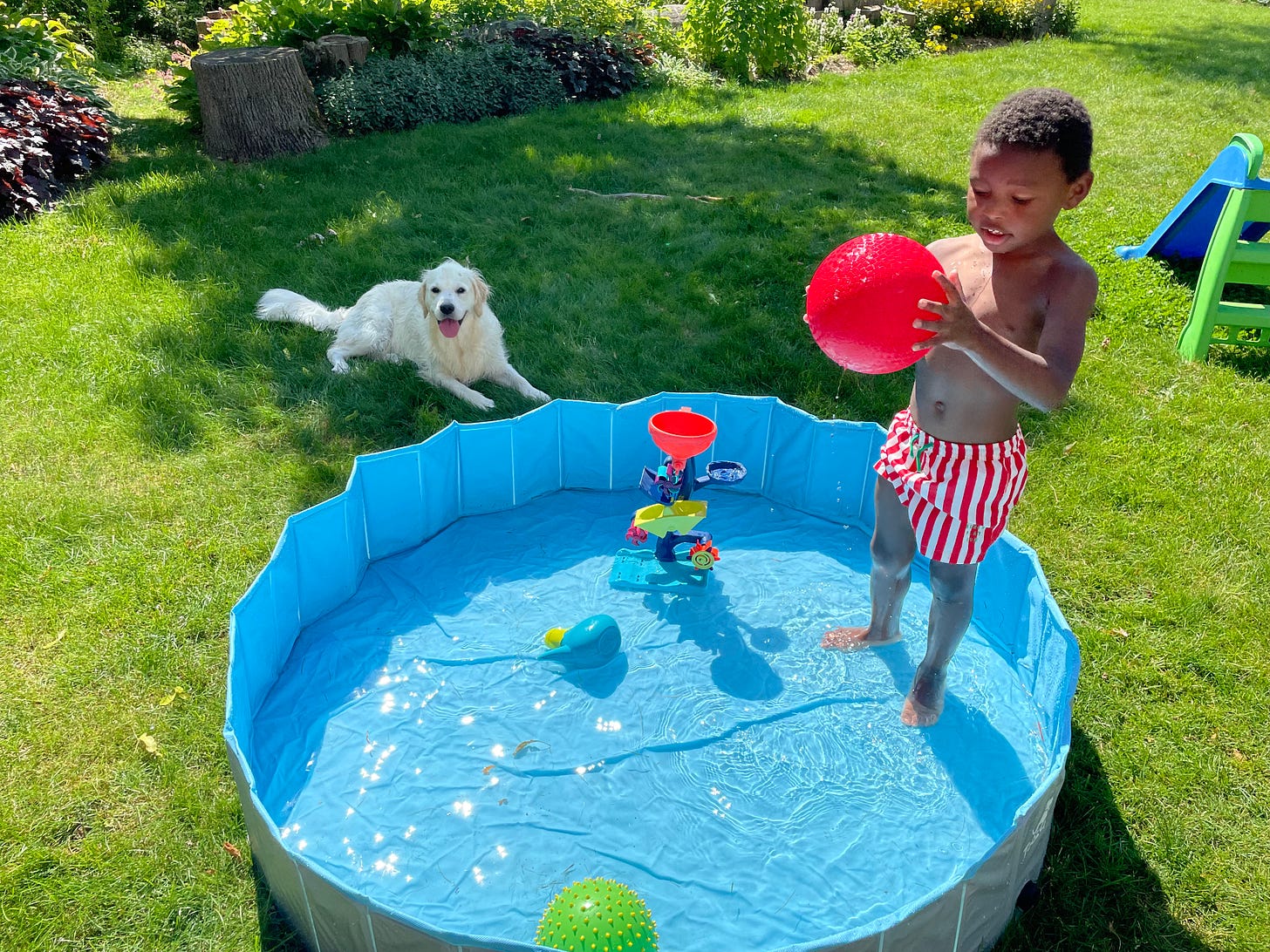 A Black 5-year old in red and white swim trunks stands in a shallow pool with a golden retriever nearby in the shade